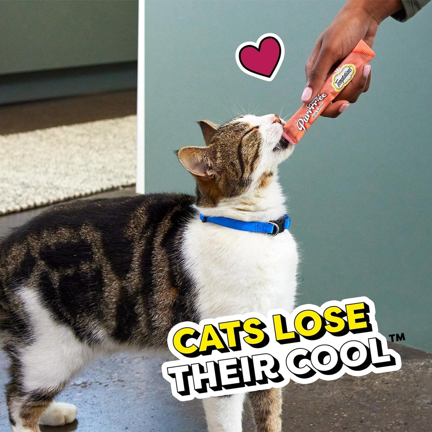 Indulge Your Cat with  Creamy Salmon Puree Treats - 24 Squeezable Lickable Tubes!